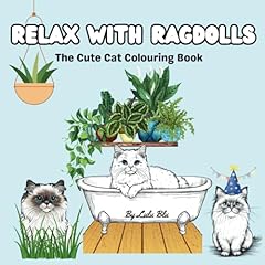 Relax ragdolls cute for sale  Delivered anywhere in UK