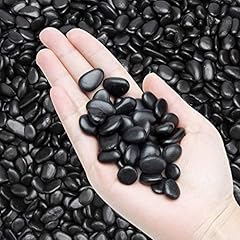 10lb black small for sale  Delivered anywhere in USA 