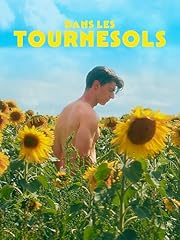 Tournesols d'occasion  Livré partout en France