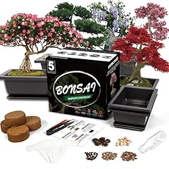 Sproutix bonsai starter for sale  Delivered anywhere in USA 