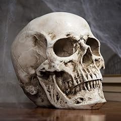 Human skull model for sale  Delivered anywhere in UK