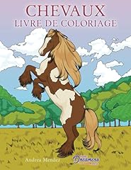 Chevaux livre coloriage d'occasion  Livré partout en France