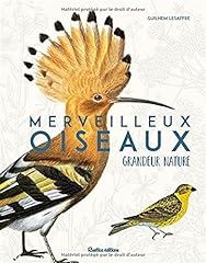 Merveilleux oiseaux grandeur d'occasion  Livré partout en Belgiqu