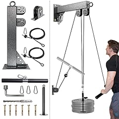 Fitness wall mount for sale  Delivered anywhere in USA 