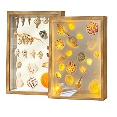 Wecklom shadow box for sale  Delivered anywhere in USA 