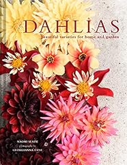 Dahlias beautiful varieties for sale  Delivered anywhere in Ireland