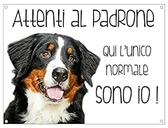 Cartello cane bovaro usato  Spedito ovunque in Italia 