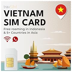 Travsim vietnam sim usato  Spedito ovunque in Italia 