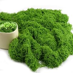 Hopton 150g kunstmoos gebraucht kaufen  Wird an jeden Ort in Deutschland