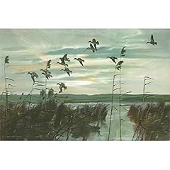 Teal grey morning for sale  Delivered anywhere in UK