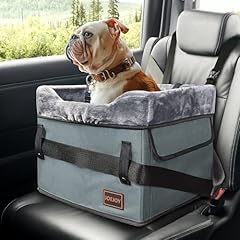 Joejoy small dog for sale  Delivered anywhere in USA 