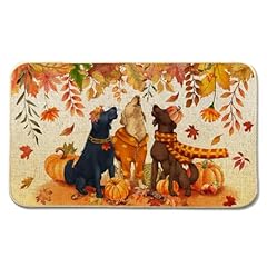 Fall dog pumpkin for sale  Delivered anywhere in USA 