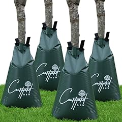 Courtyard dew tree for sale  Delivered anywhere in USA 