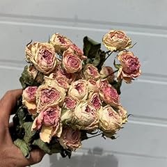 Bouquet fleurs séchées d'occasion  Livré partout en France