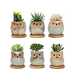 Warmplus Owl Succulent Pots, 6CM Cute Owl Cactus Pots for sale  Delivered anywhere in UK
