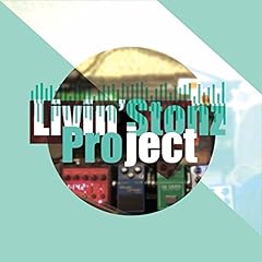 Livin stonz project for sale  Delivered anywhere in UK