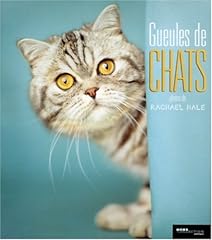 Gueules chats d'occasion  Livré partout en Belgiqu