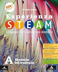 Esperienza steam imparare usato  Spedito ovunque in Italia 