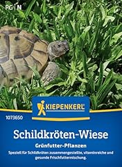 Kiepenkerl schildkrötensamen  gebraucht kaufen  Wird an jeden Ort in Deutschland