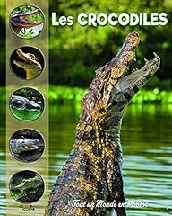 Crocodiles d'occasion  Livré partout en France