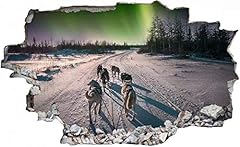 Sticker muro husky usato  Spedito ovunque in Italia 