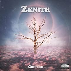 Zenith usato  Spedito ovunque in Italia 
