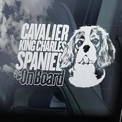 Lmmixee cavalier spaniel for sale  Delivered anywhere in UK