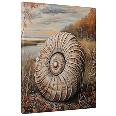 Vintage coastal nautilus for sale  Delivered anywhere in UK