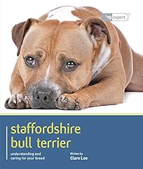 british staffordshire bull terrier for sale  Delivered anywhere in UK