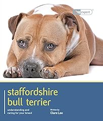 Staffordshire bull terrier for sale  Delivered anywhere in Ireland