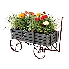 Shine company decorative for sale  Delivered anywhere in USA 