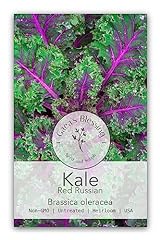 Gaea blessing seeds for sale  Delivered anywhere in USA 