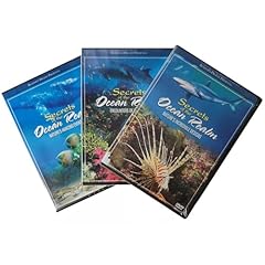 Secrets ocean realm for sale  Delivered anywhere in USA 