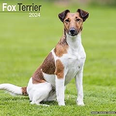 Fox terrier foxterrier gebraucht kaufen  Wird an jeden Ort in Deutschland