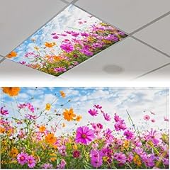 2pack fluorescent light for sale  Delivered anywhere in USA 