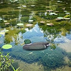Leurre chasse canard d'occasion  Livré partout en France