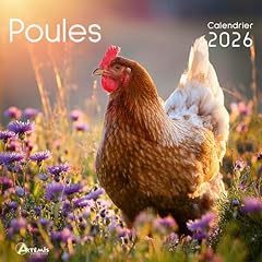 Calendrier 2024 poule d'occasion  Livré partout en Belgiqu