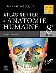 Atlas netter anatomie d'occasion  Livré partout en France