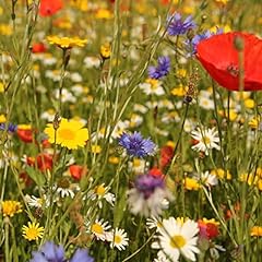 Wild flower seed for sale  Delivered anywhere in UK