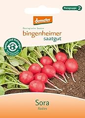Bingenheimer saatgut radiesche gebraucht kaufen  Wird an jeden Ort in Deutschland