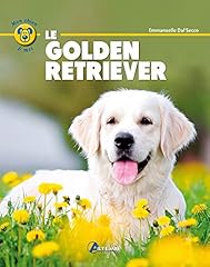 Golden retriever d'occasion  Livré partout en France
