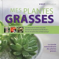 Plantes grasses d'occasion  Livré partout en France