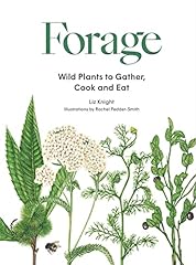 Forage wild plants for sale  Delivered anywhere in UK