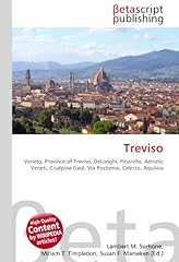 Treviso veneto province usato  Spedito ovunque in Italia 