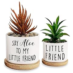 Msyueos say aloe for sale  Delivered anywhere in USA 