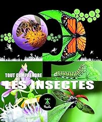 Insectes comprendre d'occasion  Livré partout en France
