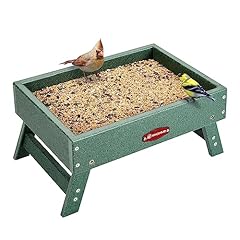 Kingsyard ground bird for sale  Delivered anywhere in USA 