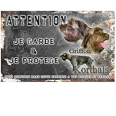 Attention chien griffon d'occasion  Livré partout en France