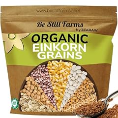 Still farms einkorn for sale  Delivered anywhere in USA 