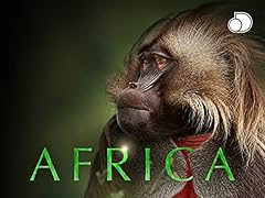 Africa usato  Spedito ovunque in Italia 